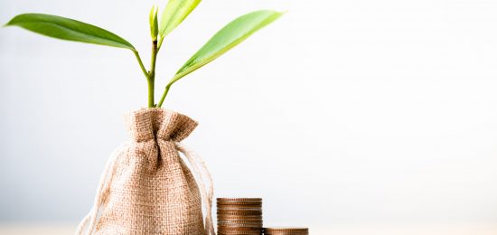 Coins in sack and small plant tree. Pension fund, 401K, Passive income. savings and making money. Investment and retirement. Business investment growth concept. Risk management.